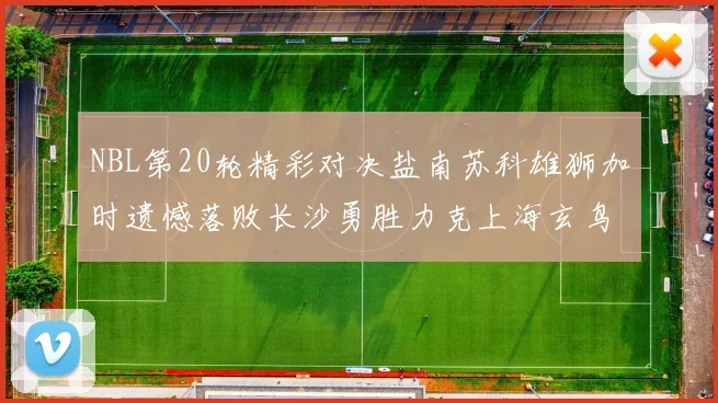 NBL第20轮精彩对决盐南苏科雄狮加时遗憾落败长沙勇胜力克上海玄鸟