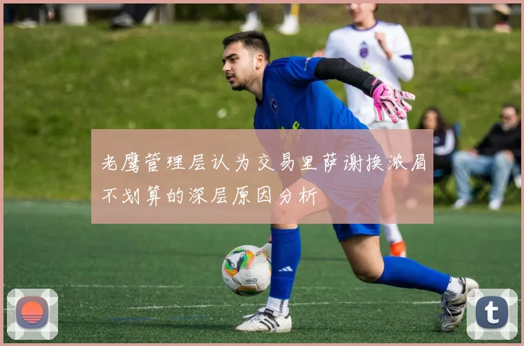 老鹰管理层认为交易里萨谢换浓眉不划算的深层原因分析